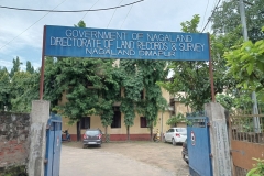 Entrance_Directorate